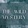 The Wild Mystery Letter