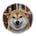 sal kimura's avatar