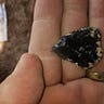 Anthropology.net