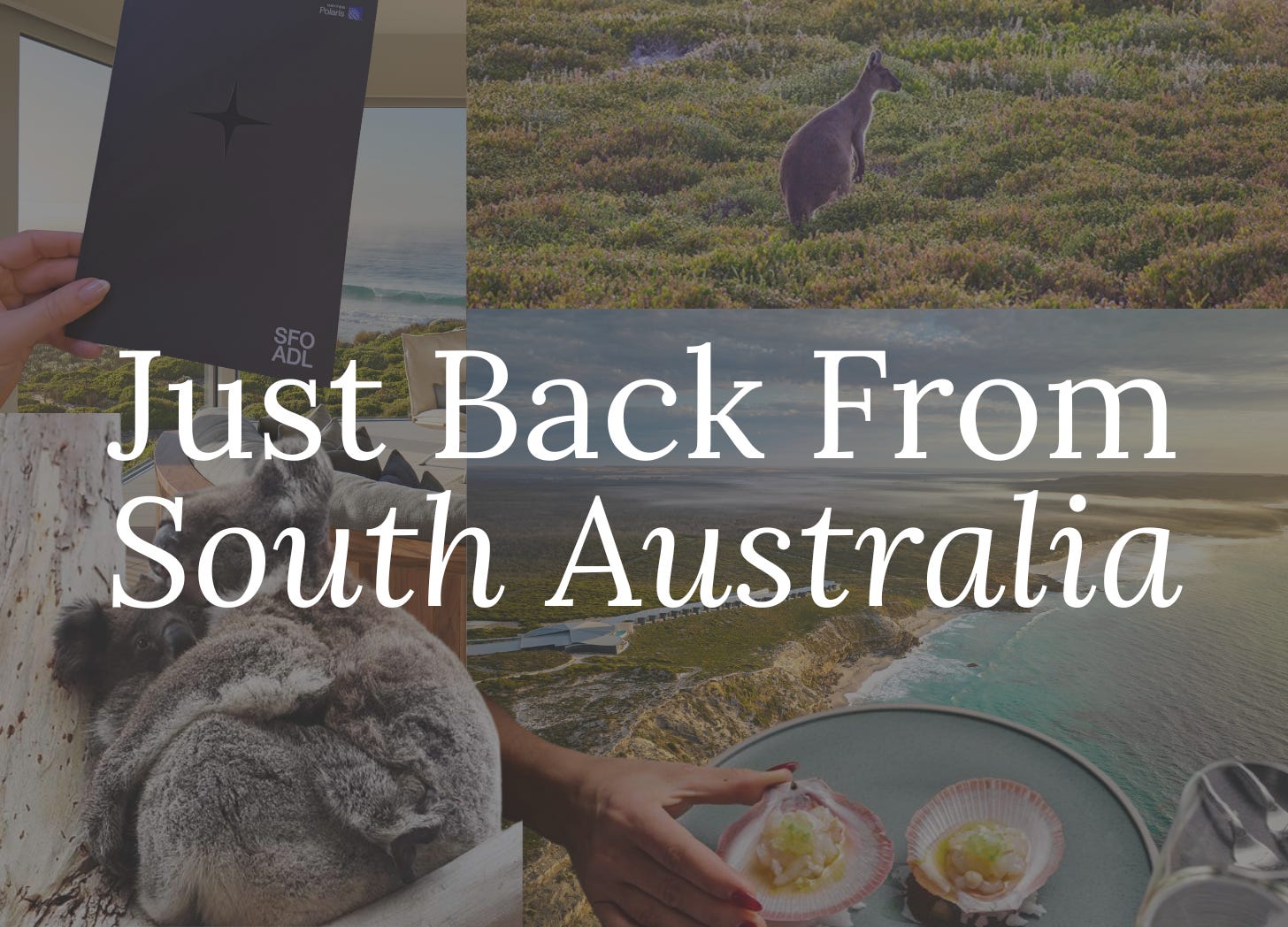 Why A Trip to South Australia is Worth Flying 20,000 Miles