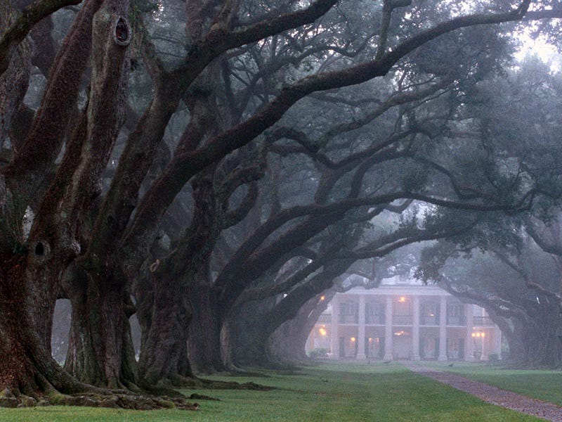 Ghost Towns and Forgotten Roads: Louisiana’s Best Hidden Travel Gems 
