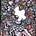 A Madman's Miscellany's avatar