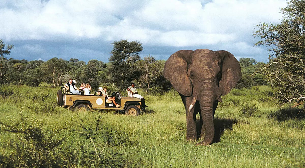 Get to Know Wildlife on a South Africa Safari | Goway Travel