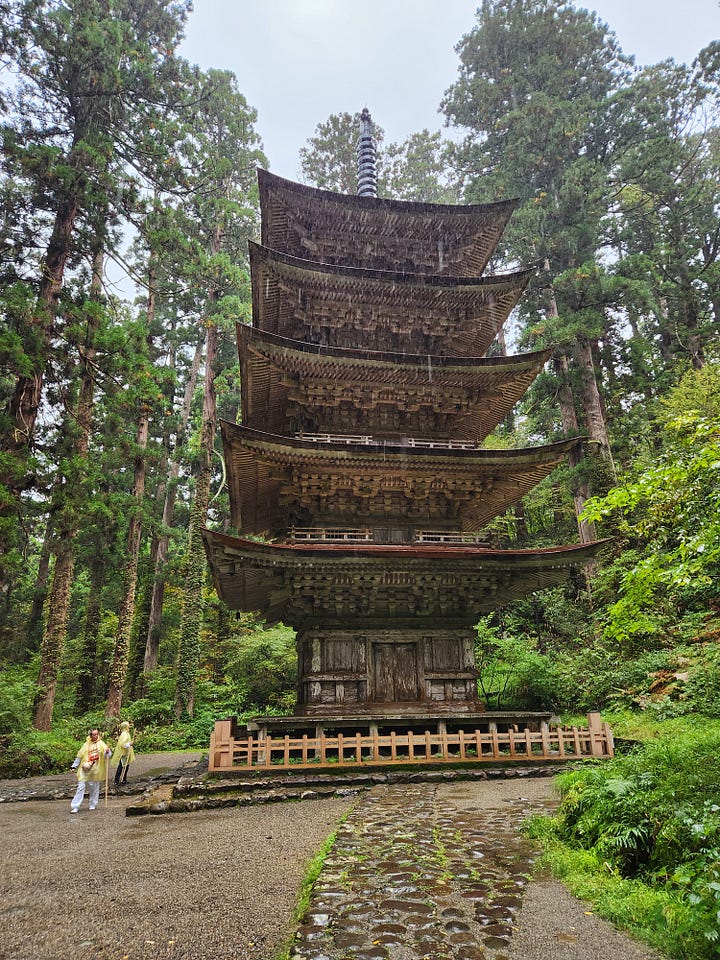 1000 year old tree and Japanese five storey pagoda