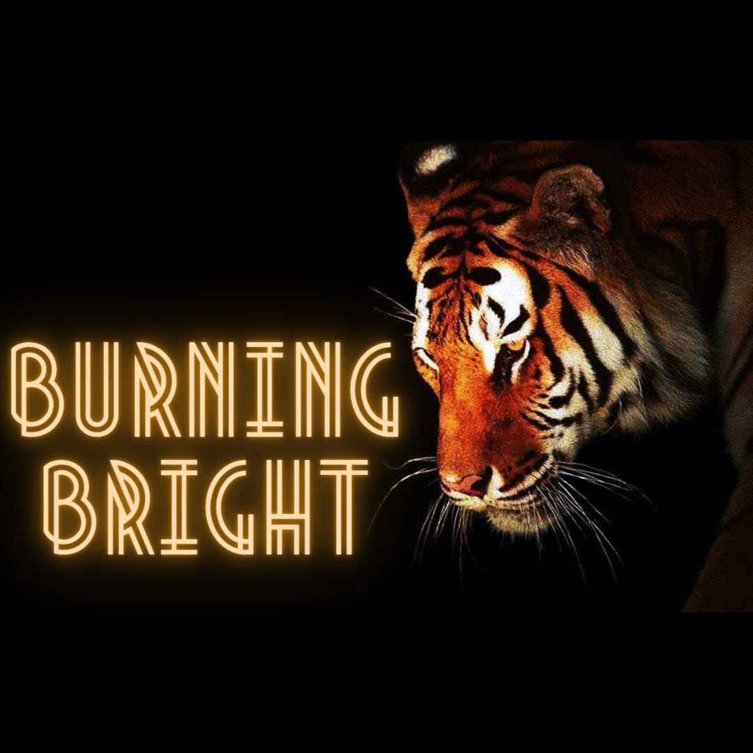 Burning Bright