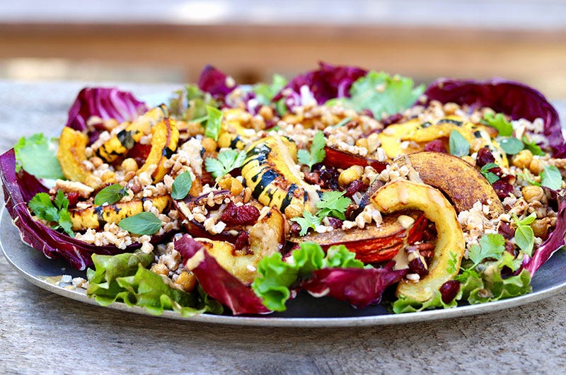 Roasted Squash and Farro Salad with Fall Greens, Cranberries, and Nuts ; Cook the Vineyard