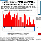 BREAKING STUDY: MMR and MMRV Vaccines Linked to 2,657% More U.S. Deaths Than Measles Infection Since 1995