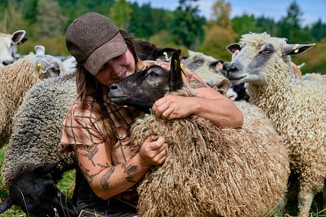 a grid of farms from across the US
