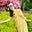 Ai Thuong Nguyen's avatar
