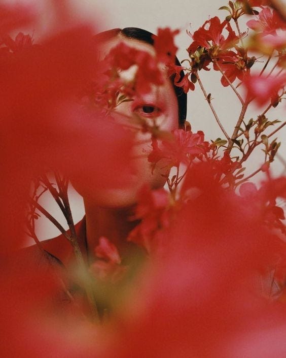 An image uploaded by noahwainwright on Jan 15, 2024. May present: happy, plant, tree, flower, petal.