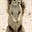 The Squirrel's avatar