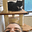 Elana's avatar