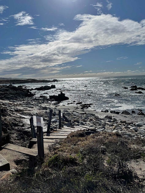 Pacific Grove by Sabrina Simpson