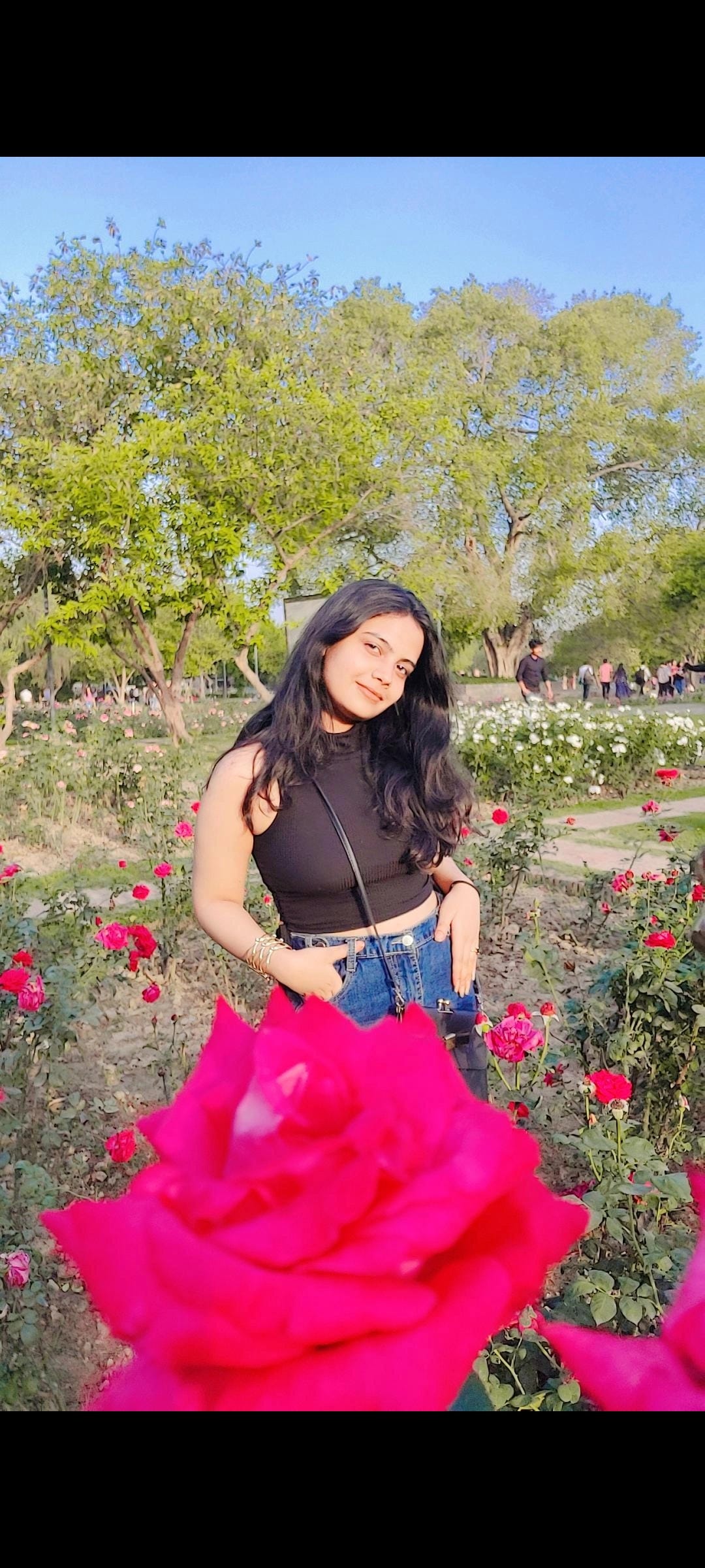anshika harit