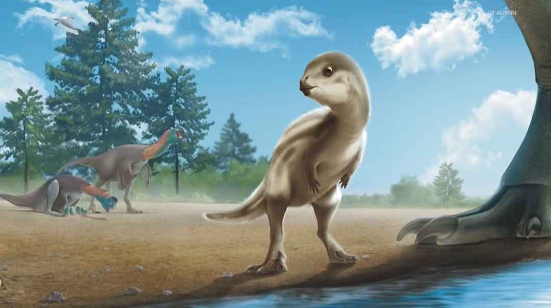 Doolysaurus is a new dinosaur species and it is as cute as it sounds ...