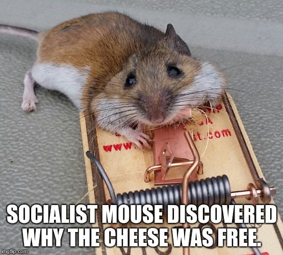 Socialist Mouse - Imgflip