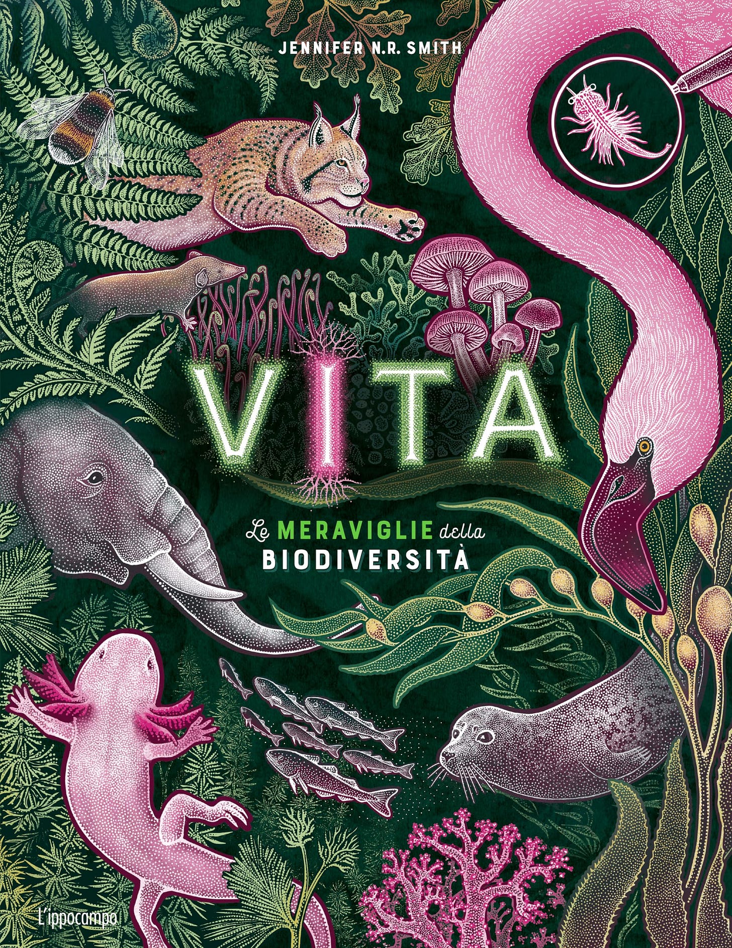 Vita. Le meraviglie della biodiversità : Jennifer Smith: Amazon.it: Libri
