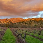 Under the Hood: Has the Fine Wine Investment Boom Gone Bust?