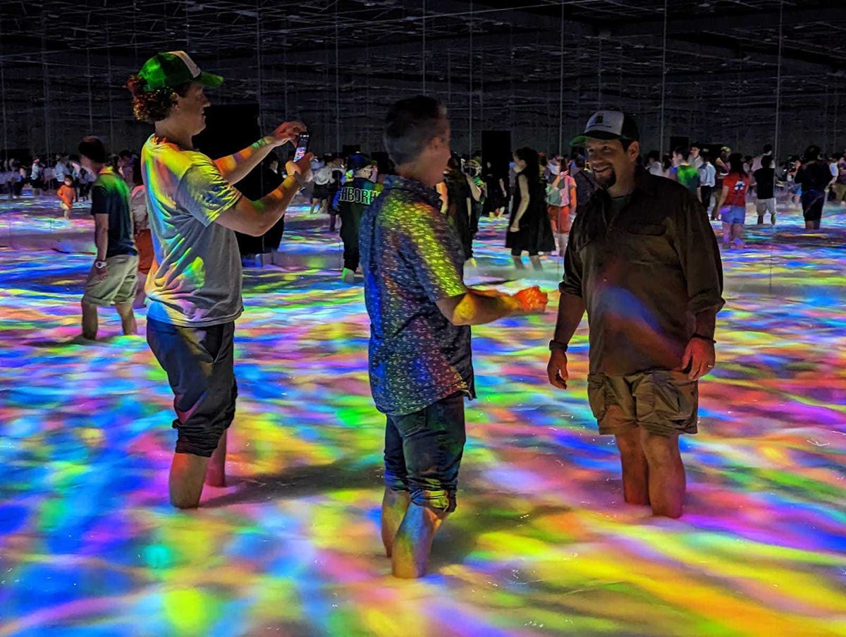 What is TeamLabs (and why should you go next time you visit Tokyo) What is TeamLabs (and why should you go next time you visit Tokyo)
