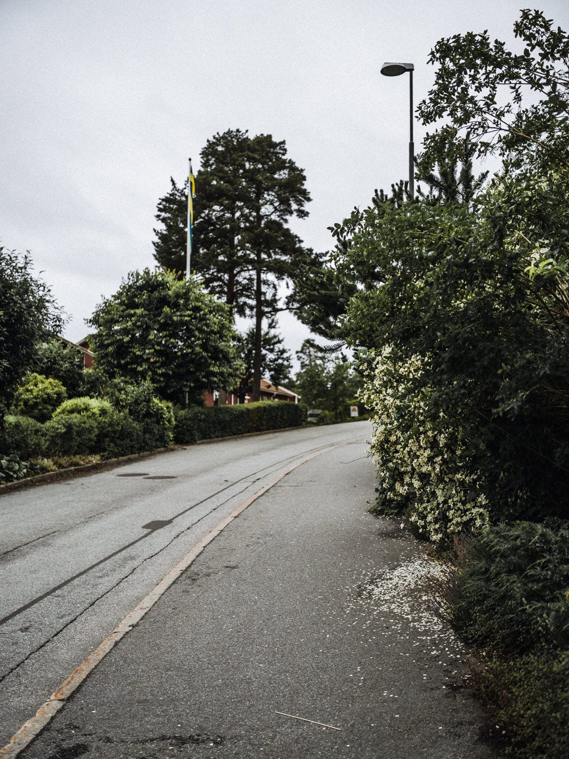 sigtuna summer