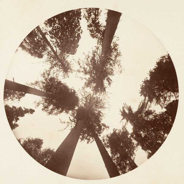 Substack profile picture for @gatherings