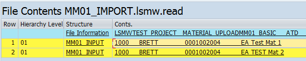 lsmw-example-display-data-from-input-file