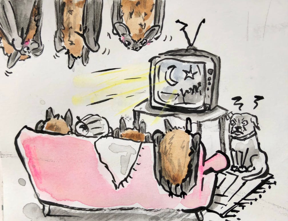illustration, watching tv with big bats on the sofa & no room for the dog!