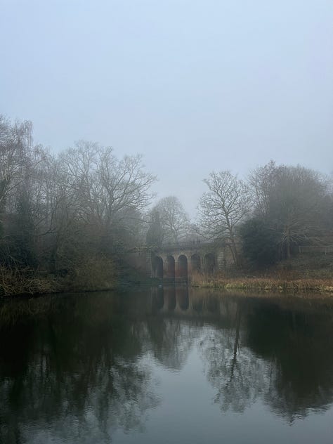 London park walks in foggy and sunny days