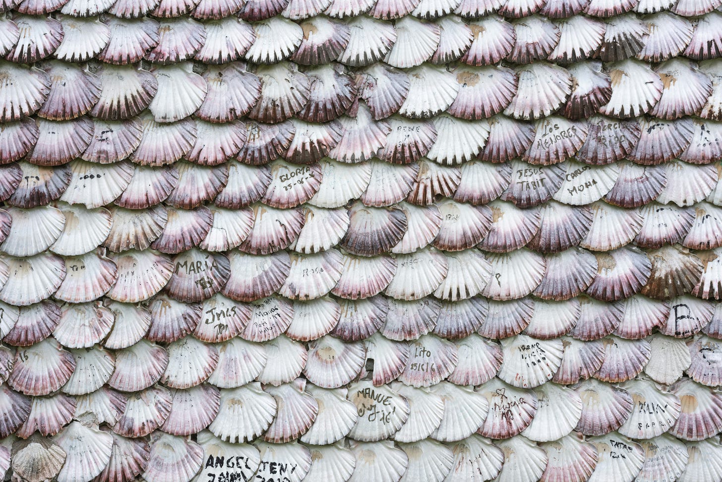 Foto de uma parede revestida com conchas. Elas estão enfileiradas como se fossem azulejos. Algumas estão assinadas por pessoas que estiveram ali. Foto de uma parede revestida com conchas. Elas estão enfileiradas como se fossem azulejos. Algumas estão assinadas por pessoas que estiveram ali.
