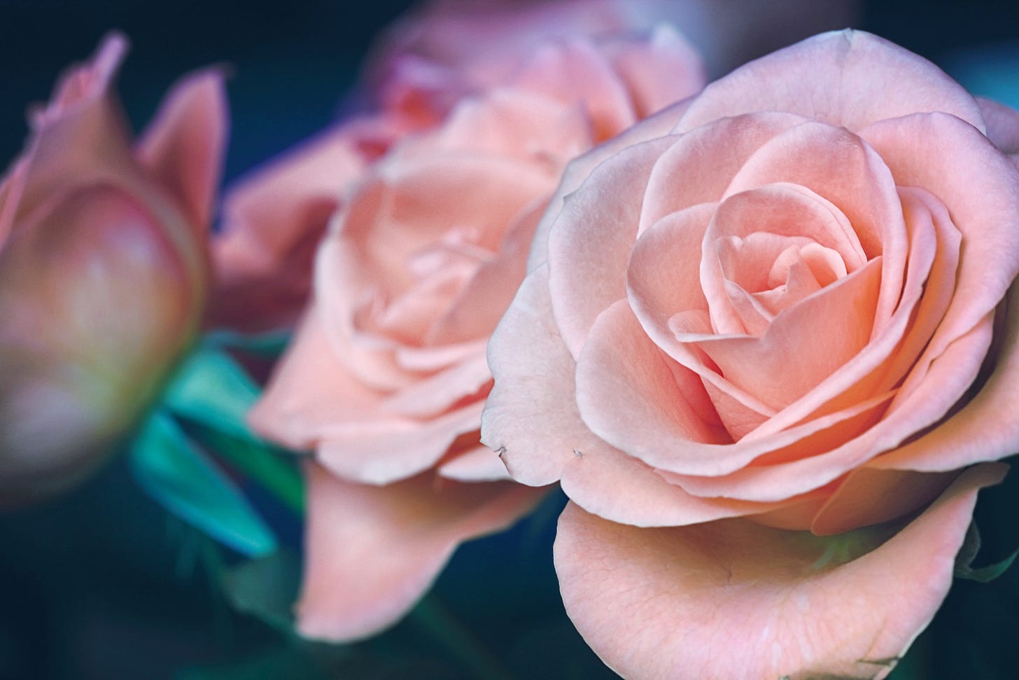 gerrit-klein-85300-unsplash9123642264763594323.jpg
