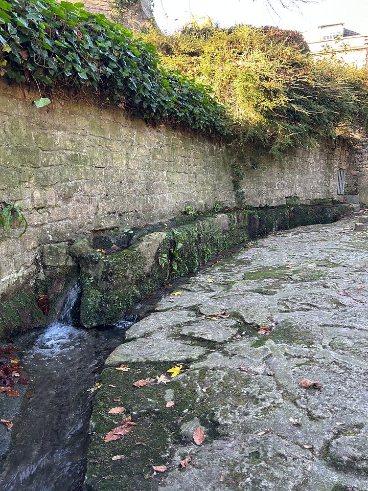 Here is a spring which flows into a series of hand-cut stone troughs. It provided the drinking water for the village of Turleigh for many years and water for the mill and brewery. Image: Roland Millward