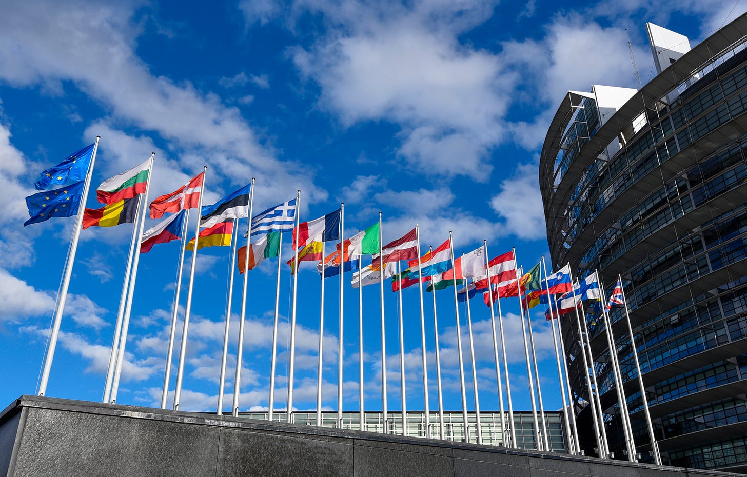 Wine and European elections, FEDERDOC has indicated its priorities to the  future EU Parliament - WineNews