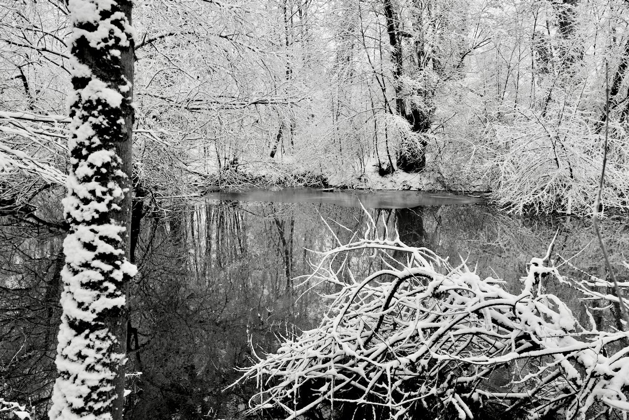 Natur – Sascha Büttner Fotografie