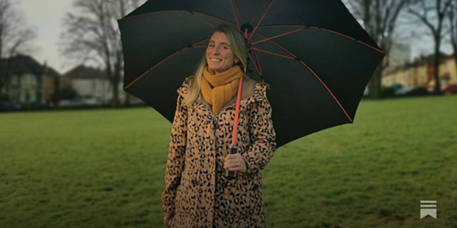 Thé vert Dilmah Pure Ceylan (40 g) 20 sachets de thé – Lakpura®, image size:1600x800