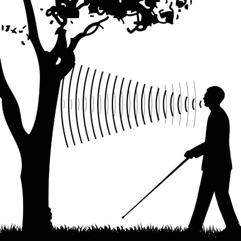 Human Echolocation Human Echolocation