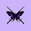 User's avatar