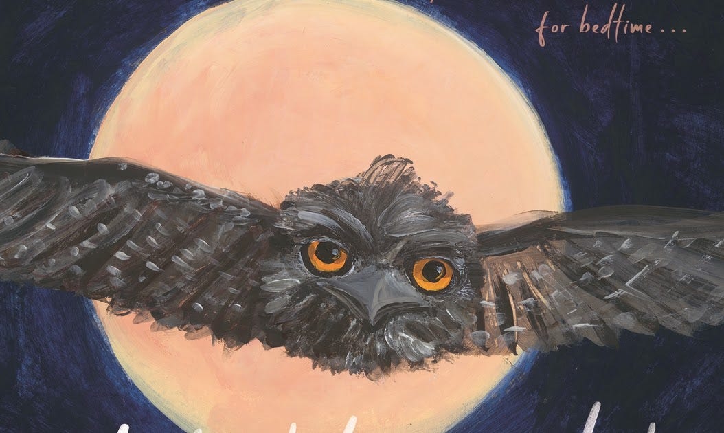 Momo celebrating time to read: Night Watch by Jodi Toering illustrated ...