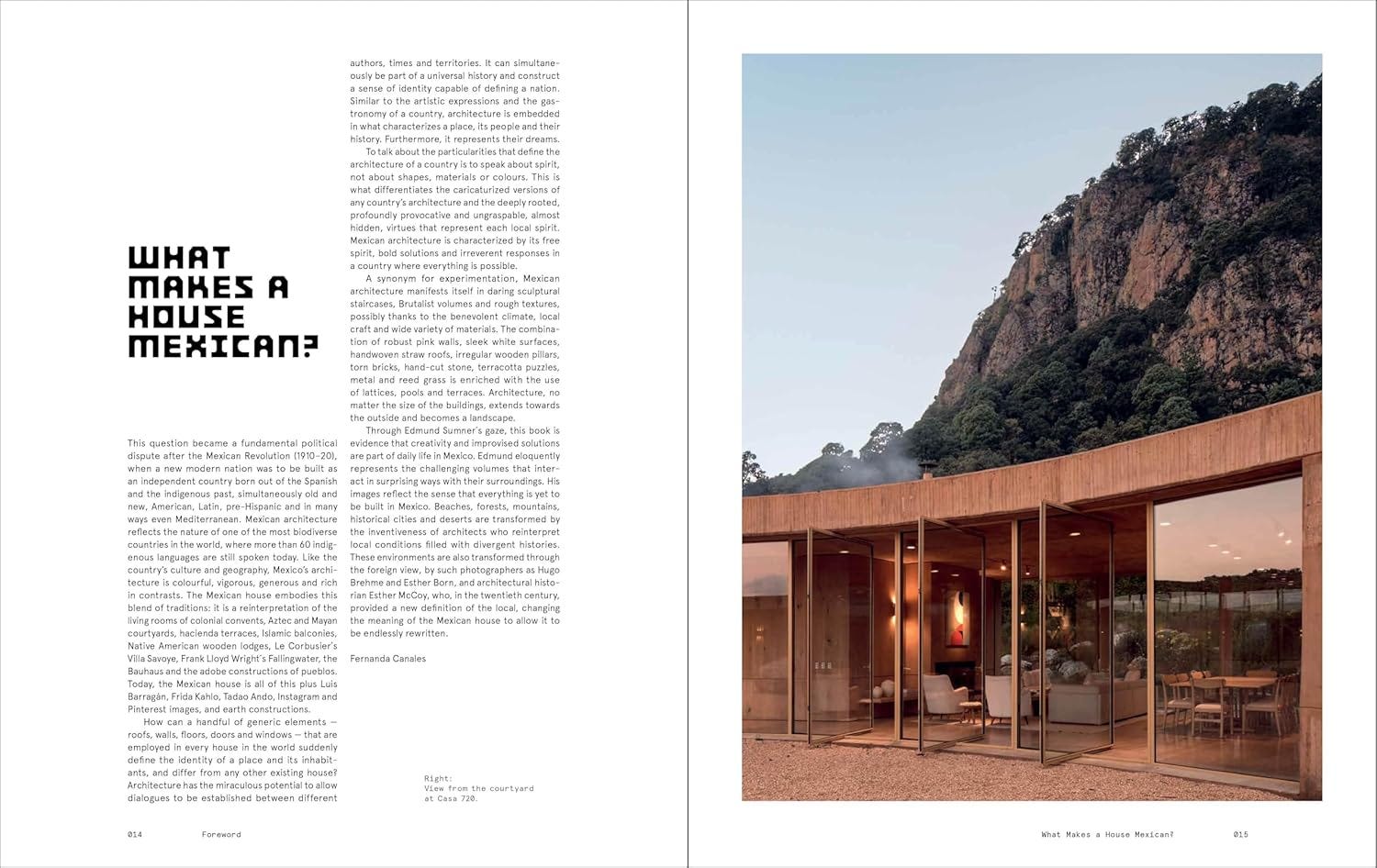 Living Large in Mexico - by John Hill