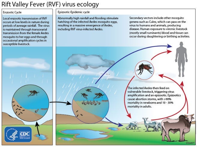 Senegal Confirms First Rift Valley Fever Cases in Kédougou, Adding to List of Affected Regions