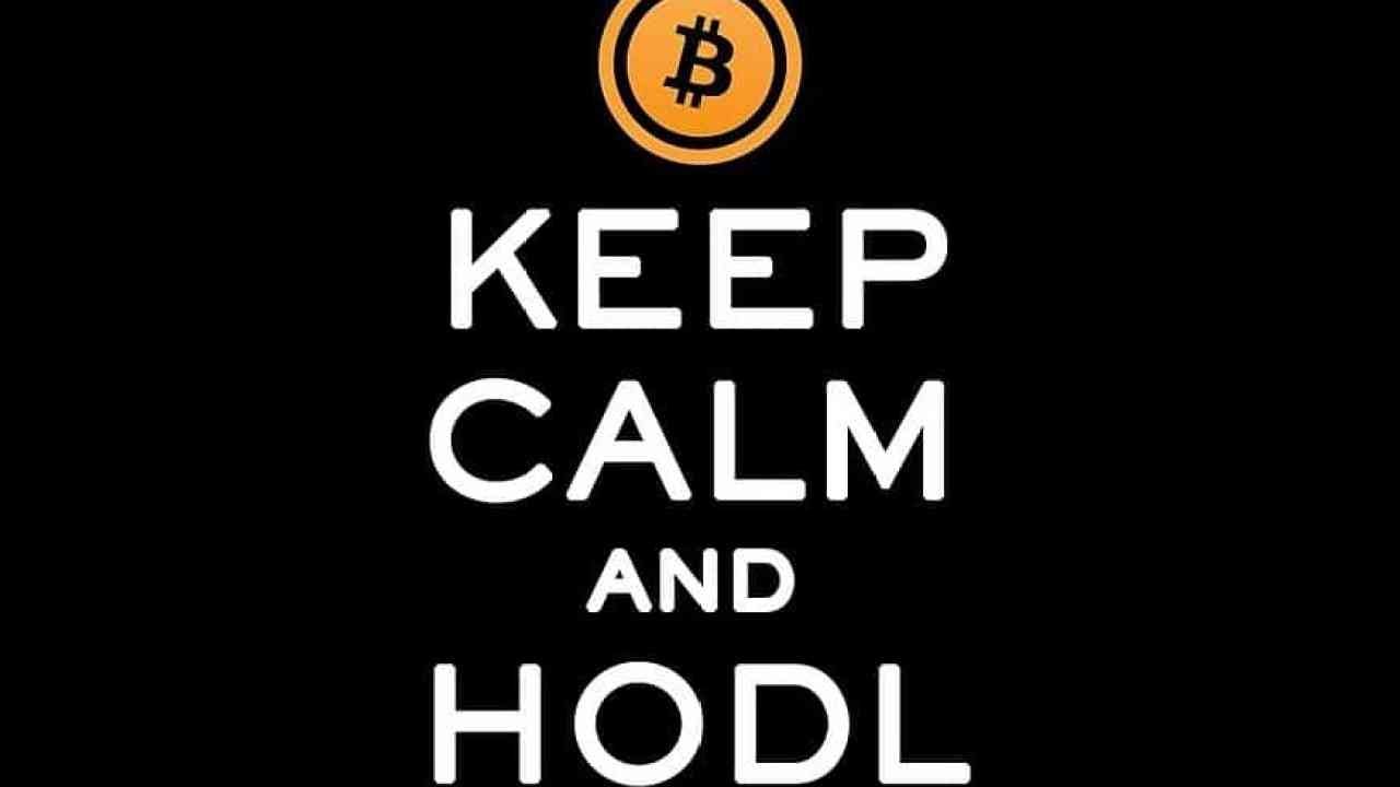 HODL - HODLING - Orígen del Argot HODL en CryptoTrading - Cryptomarkets and  More