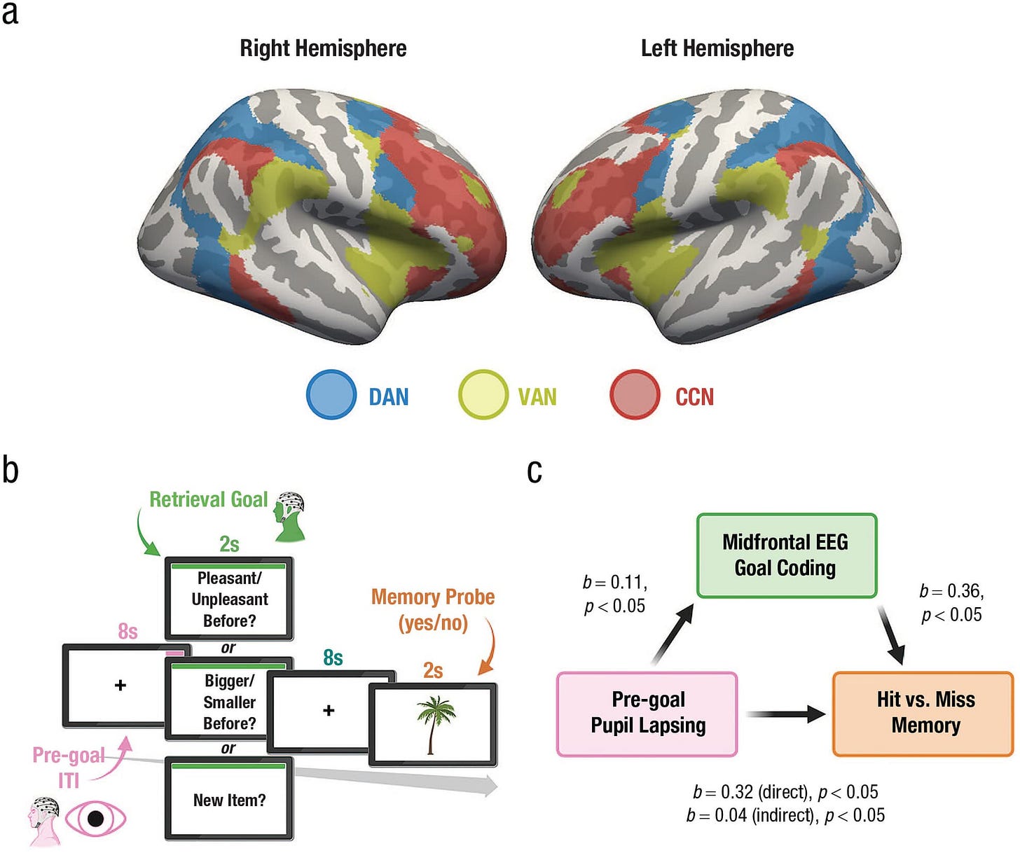 Fig. 1. Assessing the influence of attention on memory retrieval. Fig. 1. Assessing the influence of attention on memory retrieval.