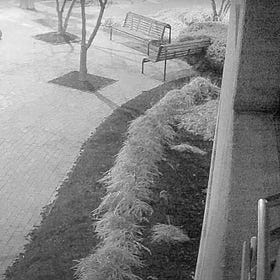 Kamala Harris Needs To Explain Why She Was At DNC Headquarters On Jan. 6, 2021 Instead Of The Capital