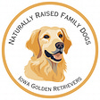Iowa Golden Retrievers's avatar