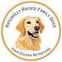 Iowa Golden Retrievers's avatar
