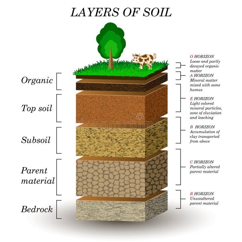 Soil Profile Sand Stock Illustrations – 105 Soil Profile Sand ...