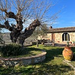 My Tuscan Roots