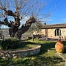 My Tuscan Roots