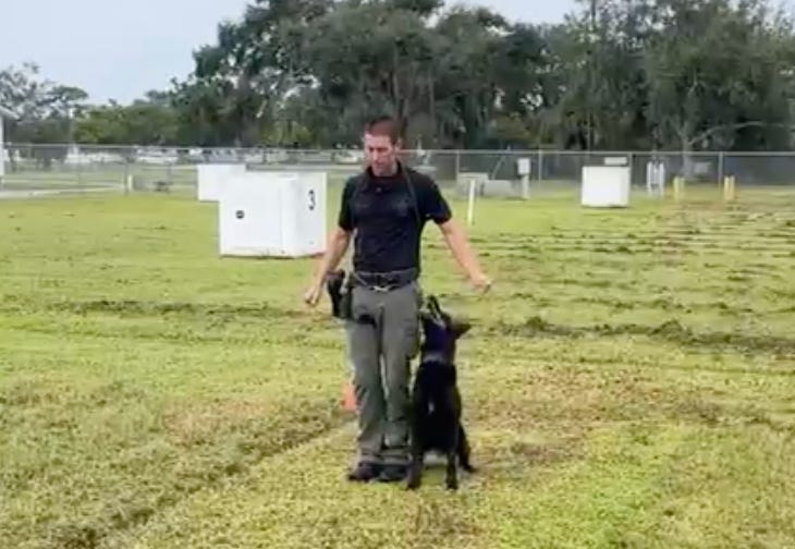 Manatee County K9 Vinnie Heads to Texas to Compete for National Title