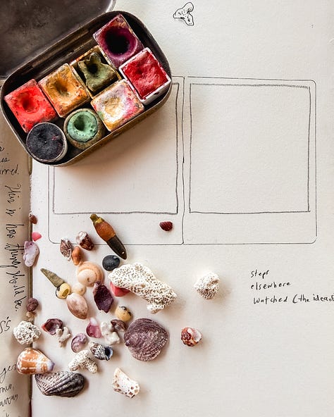 Pacific Ocean Costa Rica sea treasures shells coral 