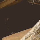 Filler Injection Sites. Tabs, Wed., Dec. 17, 2025